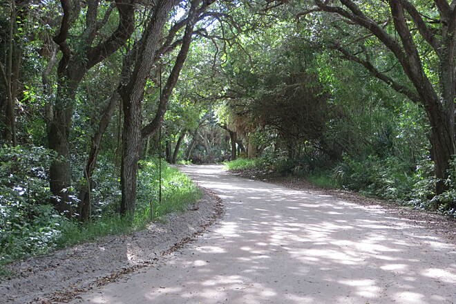 Historic Jungle Trail Vero Beach scenic nature path