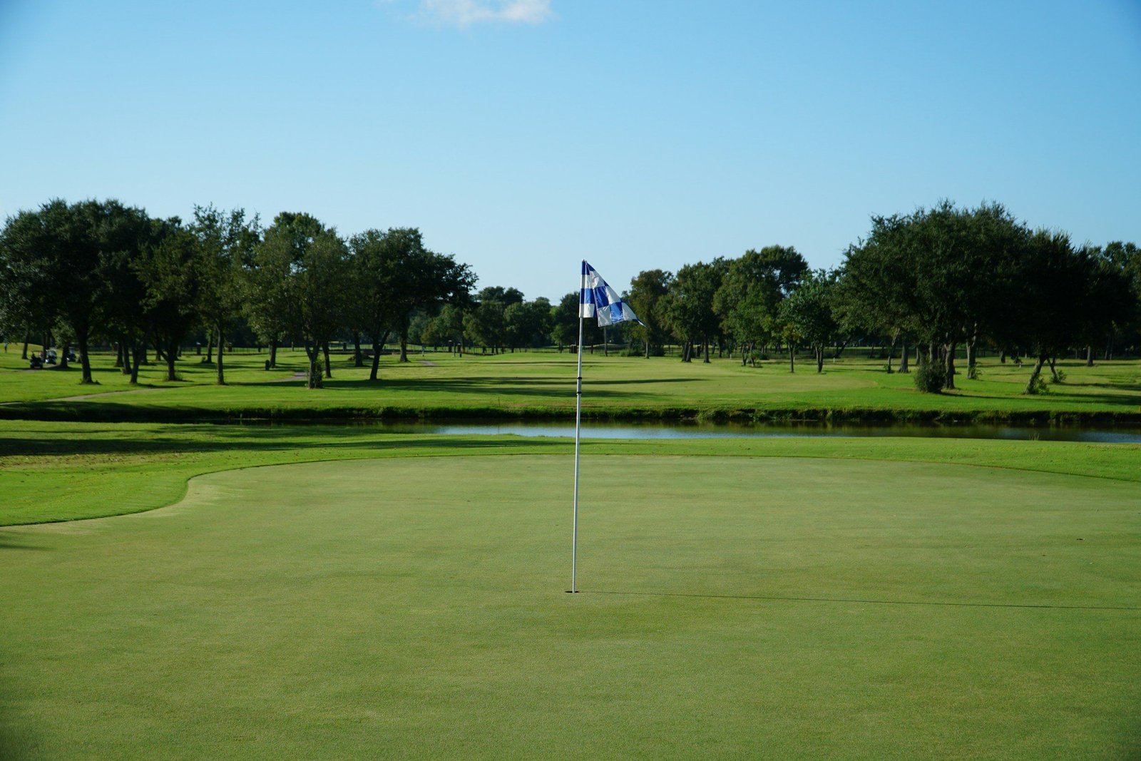 Southwest Florida championship golf course with golfers playing palm trees